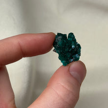 Load image into Gallery viewer, Dioptase Cluster H
