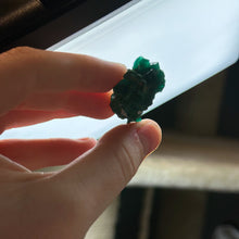 Load image into Gallery viewer, Diopside Specimen A