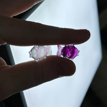 Load image into Gallery viewer, Rainbow Fluorite Fish Carvings