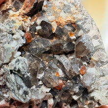 Load image into Gallery viewer, Spessartine Garnet on Smoky Quartz