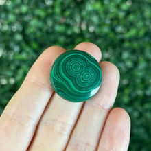 Load image into Gallery viewer, Malachite A Zodiac Custom Necklace (Choose your Sign!)