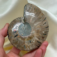 Load image into Gallery viewer, Naturally Iridescent Ammonite Matching Pair with Crystallized Inside A