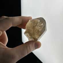 Load image into Gallery viewer, Unpolished 2.1oz Citrine Point