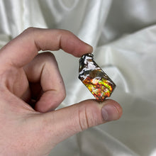 Load image into Gallery viewer, Gem Ammolite Specimen C