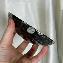 Load image into Gallery viewer, Orthoceras Fossil Bowl A