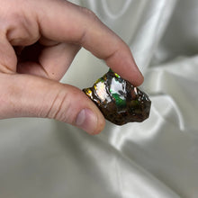 Load image into Gallery viewer, Gem Ammolite Specimen B