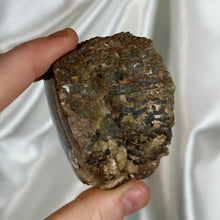 Load image into Gallery viewer, Gem Dinosaur Bone Specimen B