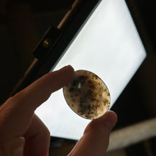 Load image into Gallery viewer, Bi-Color Dendritic Opal Pocket Palm A
