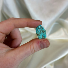 Load image into Gallery viewer, Genuine Mexican Turquoise Specimen H (Stabilized)