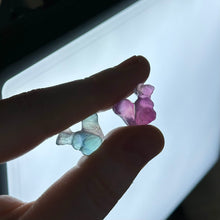 Load image into Gallery viewer, Rainbow Fluorite Squirrel Carvings