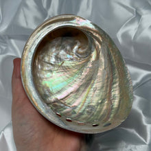 Load image into Gallery viewer, Large Pearlized Abalone Shell B