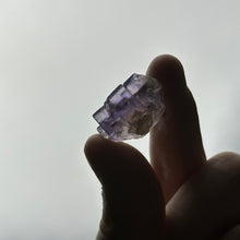 Load image into Gallery viewer, Cubic Fluorite with Floating Pyrite