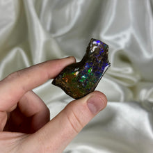 Load image into Gallery viewer, Rainbow Spectrum Gem Ammolite Slab