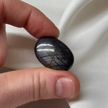 Load image into Gallery viewer, Sapphire Palm B