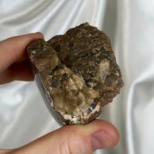 Load image into Gallery viewer, Gem Dinosaur Bone Specimen B