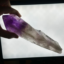 Load image into Gallery viewer, XL Amethyst Root (imperfect tip)