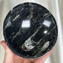 Load image into Gallery viewer, Orthoceras Fossil Bowl E