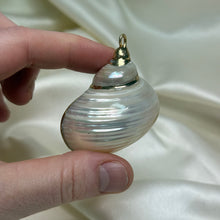 Load image into Gallery viewer, Pearlized Turbo Shell Pendant B