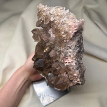 Load image into Gallery viewer, XXL Smoky Quartz with Lodolite on Stand 3lb 14.8oz