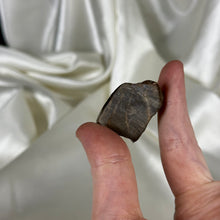 Load image into Gallery viewer, Gem Ammolite Specimen B