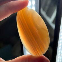 Load image into Gallery viewer, Agate Palm with Parallax Effect