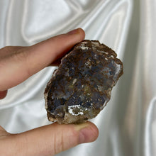 Load image into Gallery viewer, Gem Dinosaur Bone Specimen B