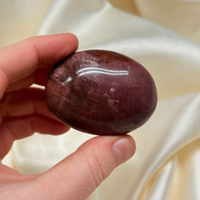 Load image into Gallery viewer, Petrified Wood Palmstone A