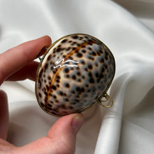 Load image into Gallery viewer, Tiger Cowrie Shell Clutches