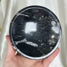 Load image into Gallery viewer, Orthoceras Fossil Bowl C