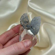 Load image into Gallery viewer, Starry Night Agate Pair from Arizona on Stands