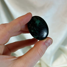 Load image into Gallery viewer, Emerald Pocket Palm A