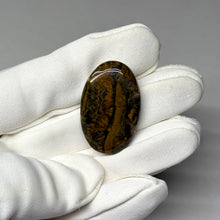 Load image into Gallery viewer, Sea Jasper Cabochon 33.1ct