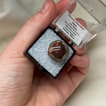 Load image into Gallery viewer, Chocolate Opal C