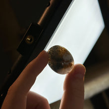 Load image into Gallery viewer, Bi-Color Dendritic Opal Pocket Palm C