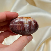 Load image into Gallery viewer, Petrified Wood Palmstone B