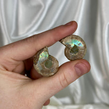 Load image into Gallery viewer, Ammonite Fossil Pair C