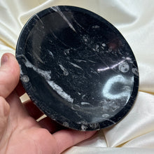 Load image into Gallery viewer, Orthoceras Fossil Bowl