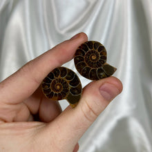 Load image into Gallery viewer, Ammonite Fossil Pair E