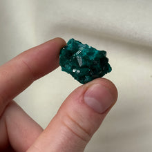 Load image into Gallery viewer, Dioptase Cluster D