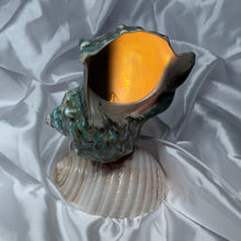 Load image into Gallery viewer, Seashell Lamp