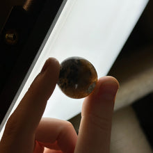 Load image into Gallery viewer, Bi-Color Dendritic Opal Pocket Palm B