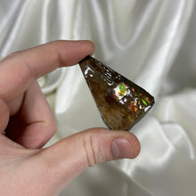 Load image into Gallery viewer, Gem Ammolite Specimen A