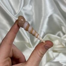 Load image into Gallery viewer, Turitella Shells