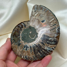 Load image into Gallery viewer, Naturally Iridescent Ammonite Matching Pair with Crystallized Inside B