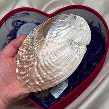 Load image into Gallery viewer, “Pastel Princess” Valentines Bundle in Velvet Box