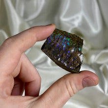 Load image into Gallery viewer, Green Blue and Purple Gem Ammolite Slab