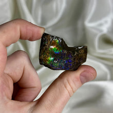Load image into Gallery viewer, Rainbow Spectrum Gem Ammolite Slab