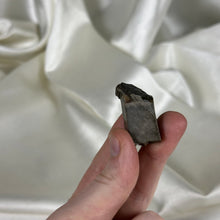 Load image into Gallery viewer, Gem Ammolite Specimen C