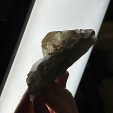 Load image into Gallery viewer, Lodolite Cluster C