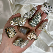 Load image into Gallery viewer, Orbicular Jasper Tumbles (choose your own!)